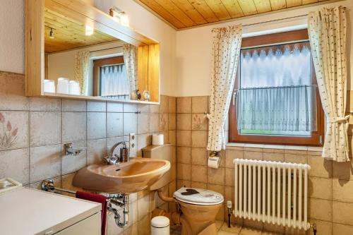a bathroom with a sink and a toilet and a window at Ferienhaus Brigitte - Breitnau in Breitnau