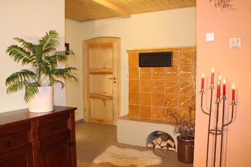 a room with a fireplace with candles and a plant at Jörgs Ferienwohnung Lohmen in Lohmen