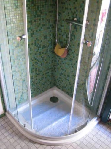 a shower with a glass door in a bathroom at Villa Ilsebill in Ribnitz-Damgarten