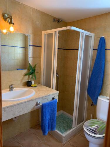 a bathroom with a shower with a sink and a toilet at Chalet con piscina en Menorca in Cala en Bosc