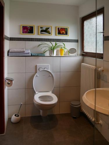 a bathroom with a toilet and a sink at Ferienwohnung Lahr in Lahr
