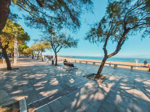 Rayon de soleil Arcachon