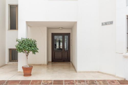 Large Apartment Marbella del Mar photo 23