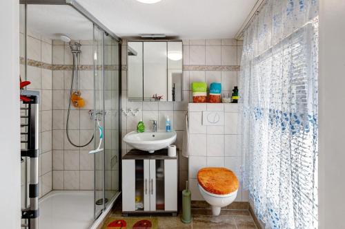 a bathroom with a shower and a sink and a toilet at Ferienwohnung im Burgenland in Freyburg