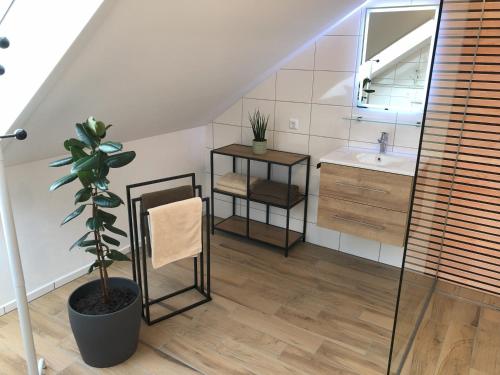 a bathroom with a sink and a mirror and a plant at Ferienwohnung Immenberg in Dirlewang