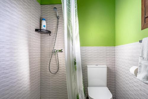 a green bathroom with a toilet and a shower at Picuastur in Cangas de Onís