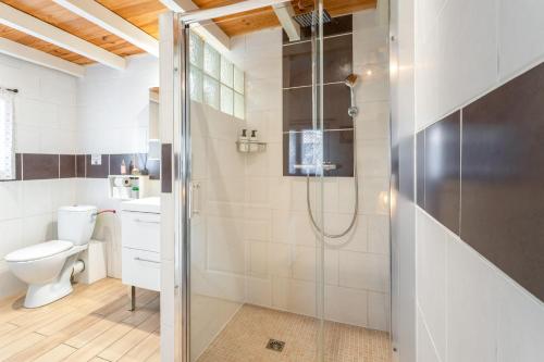 a bathroom with a shower and a toilet at La Petite Maison in Bédoin