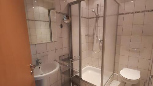 a bathroom with a shower and a toilet and a sink at Haus Moselliebe charmant zimmer in Ediger-Eller