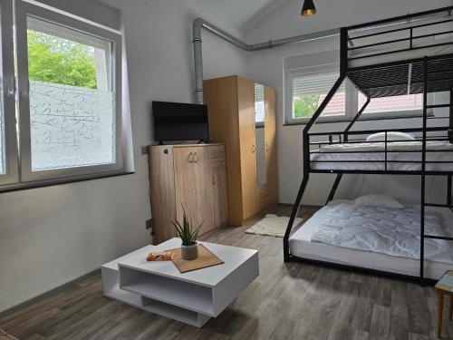 a bedroom with a bunk bed and a tv and a table at La petite ferme de Fine in Burg bei Magdeburg