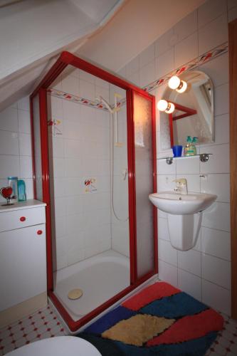 a bathroom with a shower and a sink at Ferienwohnung 'auf dem Burstel' in Kleines Wiesental
