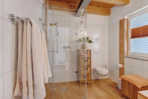 a bathroom with a shower and a toilet at Ferienwohnung Beni in Öhningen