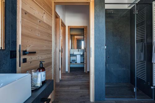 a bathroom with a walk in shower next to a sink at Arnica Alpin Lodge in Cavedago