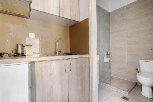 a bathroom with a sink and a toilet at Iguana studio 9 in Preveza
