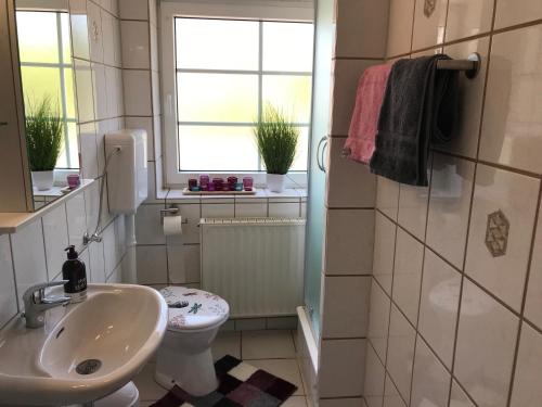 a bathroom with a sink and a toilet and a window at Ferienhaus Am Fulda Ufer in Rotenburg an der Fulda
