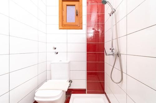 a bathroom with a toilet and a shower at Arianna Studio Ground Floor 6 in Paleokastritsa