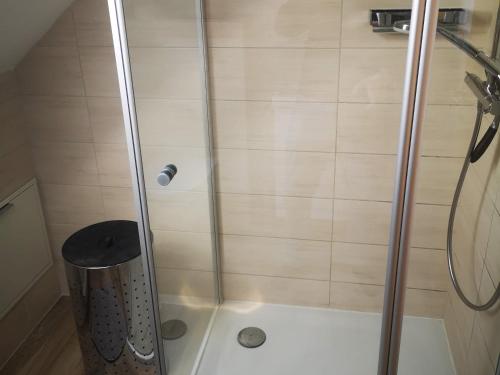 a shower with a glass door with a trash can at Ferienwohnung Eckert in Wehr