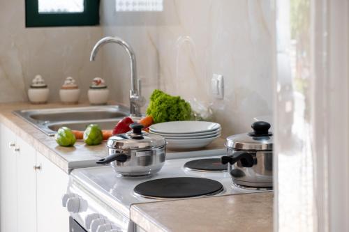 a kitchen with two pots and pans on a stove at Nikoleta Apartment A in Nikiana