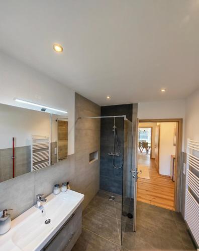 a bathroom with a sink and a shower at Ferienwohnung Pruggernglück in Pruggern