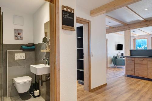 a bathroom with a toilet and a sink in a room at Gantershof in Titisee-Neustadt