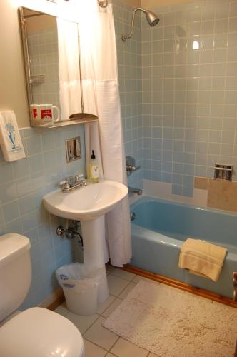 a bathroom with a sink and a toilet and a tub at Gore Mountain Lodge in North Creek