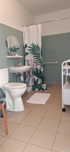 a bathroom with a toilet and a shower curtain at Studio du Meslay - Fyé in Fyé