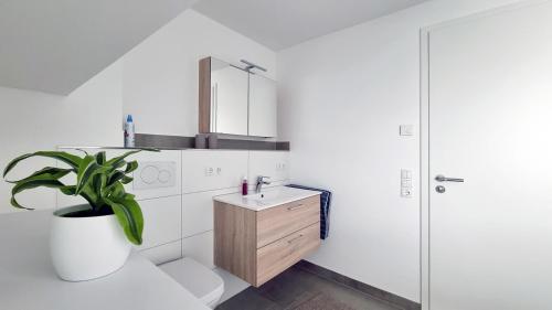 a bathroom with a toilet and a sink and a plant at Adlerhorst in Baiersbronn