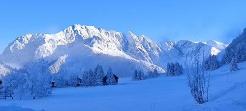 Studio Appartement Grand Serre