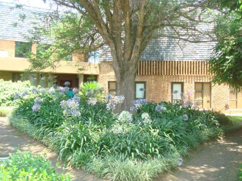 a garden of flowers in front of a building at Bokmakierie Country Lodge in Ladysmith