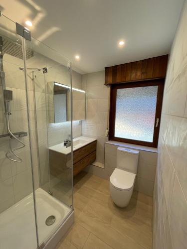 a bathroom with a toilet and a shower and a sink at Haus Balke in Hatzfeld