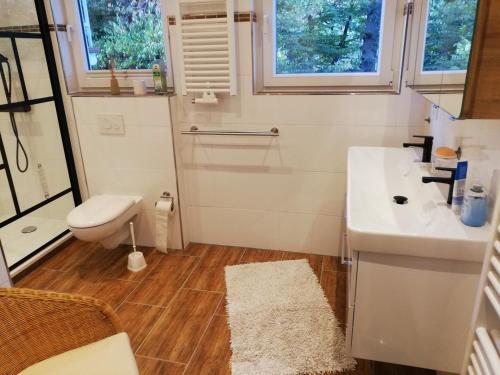 a small bathroom with a sink and a toilet at Rothaarsteig Ferienhaus in Kirchhundem