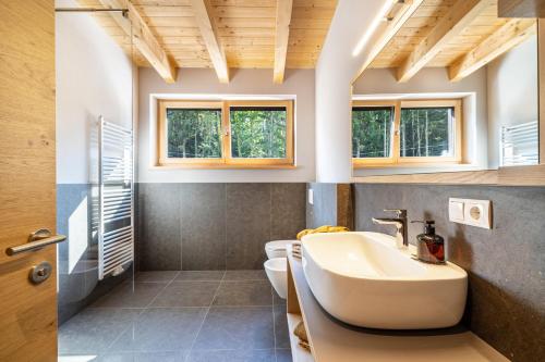 a bathroom with a sink and a toilet at Wiesgut Ferienwohnung Golden in Tesimo