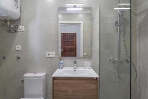 a bathroom with a toilet and a sink and a shower at Studio Tagoro in Guía de Isora