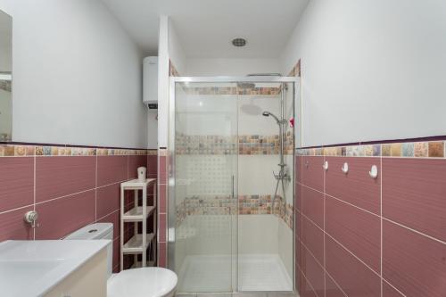 a bathroom with a shower and a toilet at Apto Jardin del Sol Beach-Pool in Puerto de Santiago