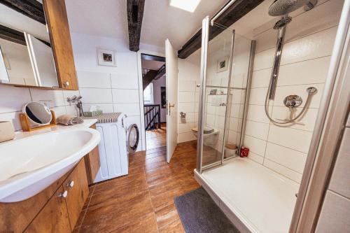 a bathroom with a sink and a shower at Lauterbach im Herzen der Altstadt in Lauterbach