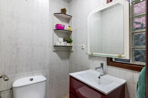 a bathroom with a toilet and a sink and a mirror at Apto Casco viejo Castro Urdiales in Castro-Urdiales