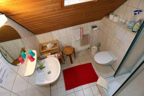 a small bathroom with a sink and a toilet at Wohnung im Gästehaus Waldhüsle in Friedenweiler