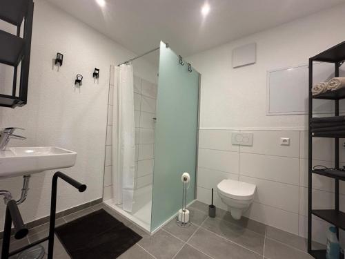 a bathroom with a shower and a toilet and a sink at Ferienwohnung Seescheune in Bodman-Ludwigshafen