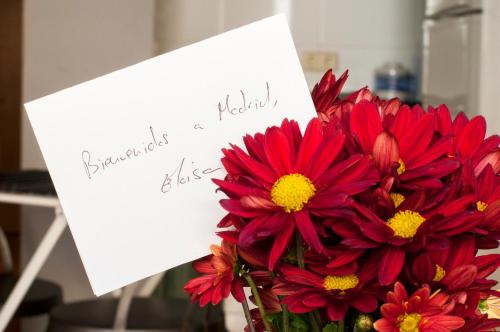 Apartamentos Eloísa