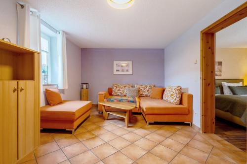 a living room with a couch and a table at Teichmühle - Vogtland Chalet in Bad Brambach