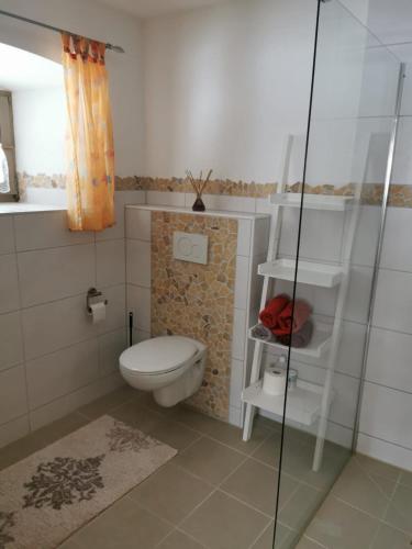 a bathroom with a toilet and a glass shower at Haus Peschl Fewo 1 in Neureichenau