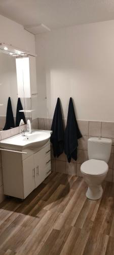 a bathroom with a toilet and a sink at Käfer A in Waldbrunn