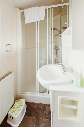a white bathroom with a shower and a sink at Villa Hexenaltar in Thale