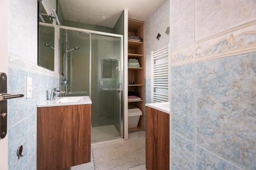 a bathroom with a shower and a sink and a toilet at Gîte De L'enclume in Sévignac