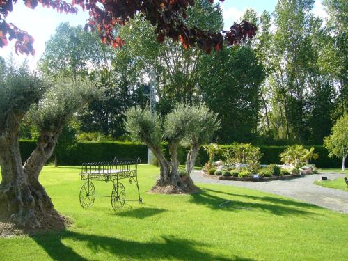 a bike sitting in the grass next to two trees at Hotel Restaurante La Alhama in Medina de Pomar