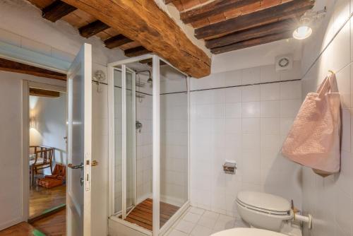 a bathroom with a toilet and a walk in shower at Appartamento del Campo - Siena in Siena