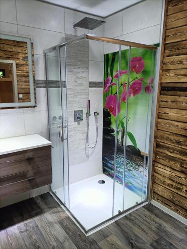 a shower with a glass enclosure in a bathroom at Waldhaus Hempe in Tabarz