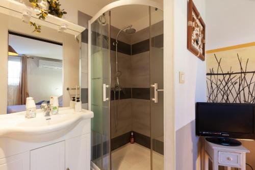 a bathroom with a shower with a sink and a mirror at Villa Salamandre in Port-Saint-Louis-du-Rhône