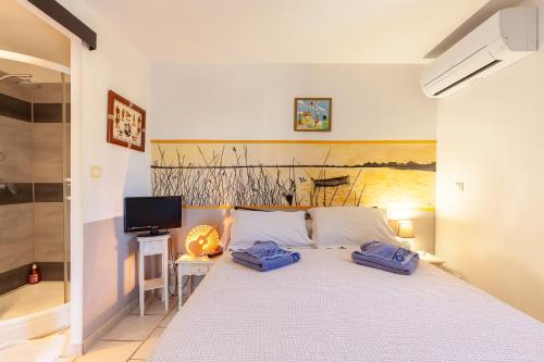 a bedroom with a bed and a tub and a television at Villa Salamandre in Port-Saint-Louis-du-Rhône