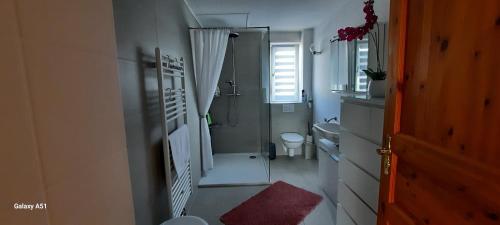 a small bathroom with a shower and a toilet at Ferienwohnung an der Lahn in Limburg an der Lahn