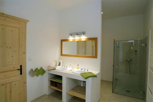 a bathroom with a sink and a shower at La Campagne in Saint-Hubert